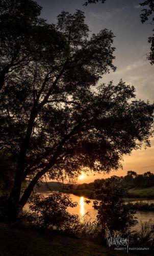 a tree in front of a river with the sunset at Rio Dos Elefantes River Camp in Hoedspruit