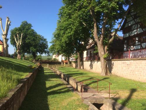 a row of benches next to a wall with trees at Sylvie Fahrer et Fils in Saint-Hippolyte