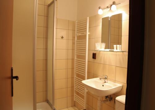 a bathroom with a sink and a shower with a mirror at Penzión Bojnice in Bojnice