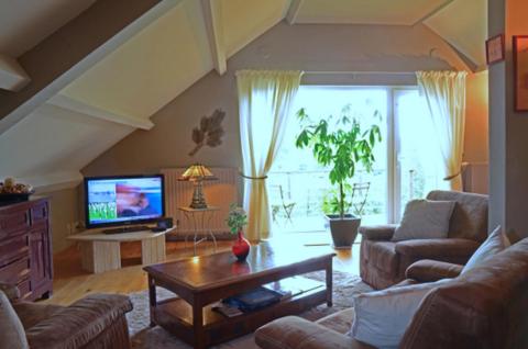 a living room with a couch and a tv at Un brin de Paradis "appartement de 100 m²" in Harzé