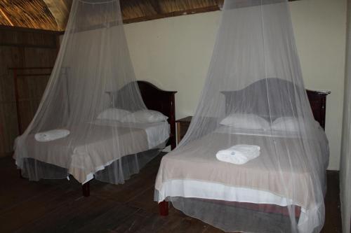 two beds in a room with mosquito nets at Topche, Centro Ecoturístico in Lacanjá