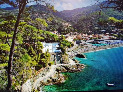 a view of a river with a town and a mountain at Albergo Lungomare in Bonassola