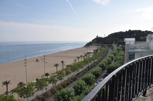 a view of a beach with palm trees and the ocean at Hotel Haromar in Calella