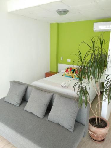 レウスにあるEstudio en el centro 0のソファ、枕、鉢植えの植物が備わる客室です。