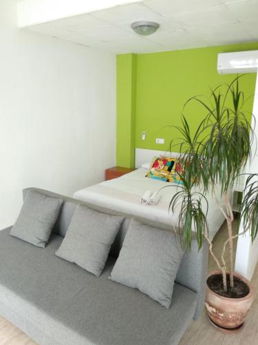 een kamer met een bank met kussens en een potplant bij Estudio en el centro 0 in Reus
