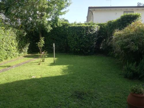 a yard with a hedge and a sign in the grass at Holiday home Villetta Cinquale in Cinquale