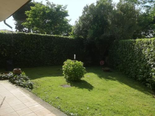a garden with a hedge and a lawn with a bush at Holiday home Villetta Cinquale in Cinquale