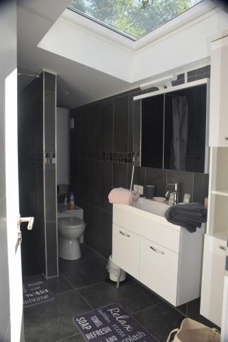 a bathroom with a sink and a toilet at Echappée Belle in Jalhay