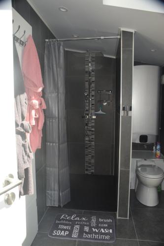 a bathroom with a shower and a toilet at Echappée Belle in Jalhay