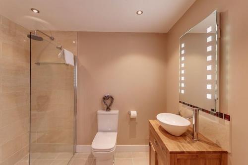 a bathroom with a toilet and a sink and a shower at Willow Lodge, South View Lodges, Exeter in Exeter