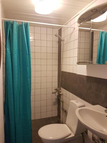 een badkamer met een toilet en een blauw douchegordijn bij Gamla Macken in Margretetorp