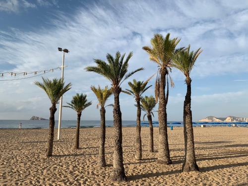 Pink Beach Benidorm