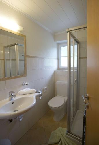 a bathroom with a sink and a toilet and a mirror at B&B Gästehaus Alpenblick in Lermoos