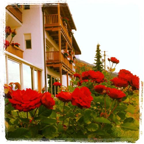 a group of red flowers in front of a building at Steinegger Eppan in Appiano sulla Strada del Vino