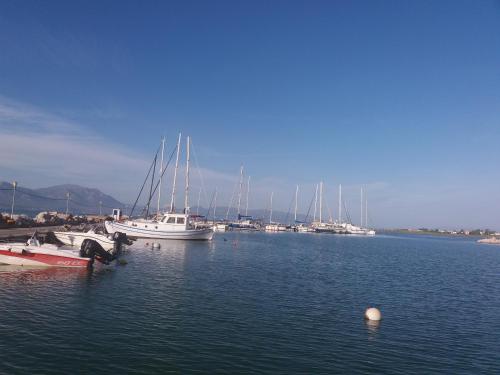 a group of boats are docked in a harbor at Beautiful Summer Villa in Chalkoutsi in Khalkoútsion