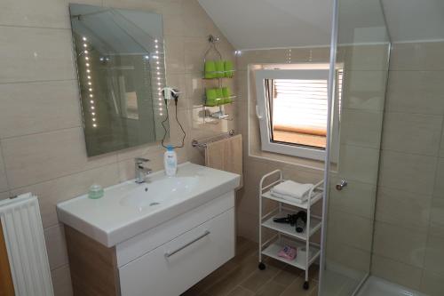 ein Bad mit einem Waschbecken, einem Spiegel und einer Dusche in der Unterkunft Rooms Zupančič in Bohinjska Bela