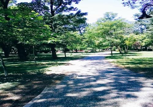 a tree lined path in a park with trees at Karditsa Home Sweet Home 80 τ.μ in Kardítsa