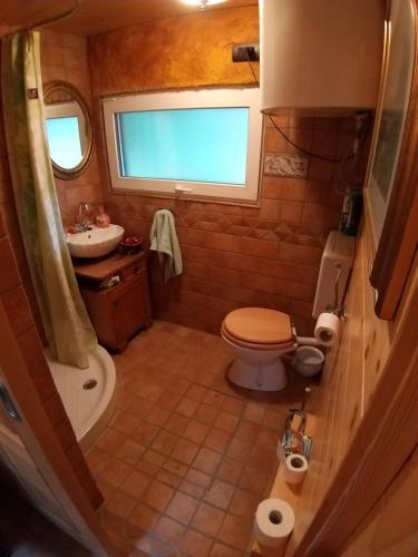 a small bathroom with a toilet and a sink at Estate Marjetin dom in Idrija