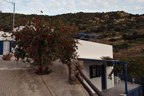 a tree with red flowers in front of a building at Villa Costa Studios in Vathi, Sifnos