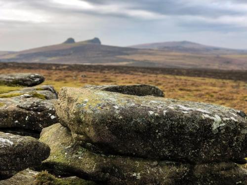 Gallery image of Haytor Court, Haytor, Dartmoor in Haytor