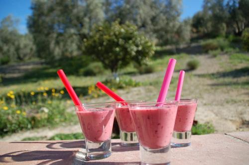 Billede fra billedgalleriet på Valle de Oro i Villanueva de Algaidas