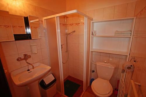 a bathroom with a shower and a toilet and a sink at Villa Ludmila in Janske Lazne