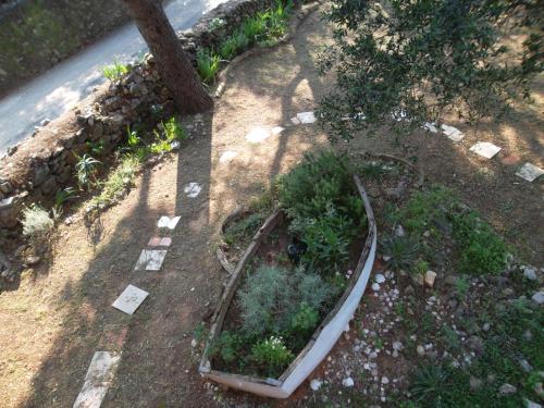 an outdoor garden with plants in a wooden boat at Hodak Apartment in Nerezine