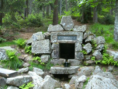 a stone grave in the middle of a forest at Ferienwohnung Pedall in Bischofsgrün