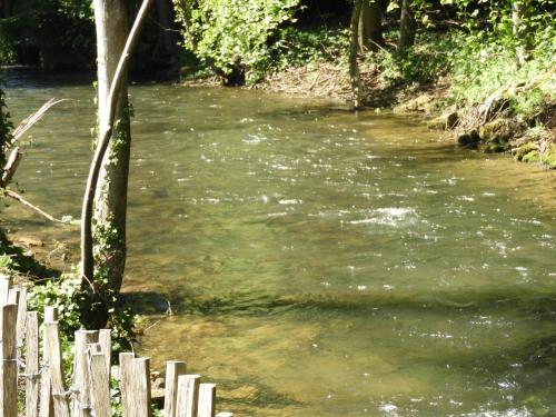 a river with a wooden fence in the water at Gîte de L´ô d´Or in Villers-devant-Orval