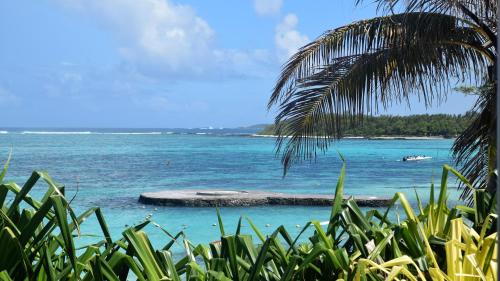 a view of the ocean with a palm tree at Blue Beryl Guest House in Blue Bay