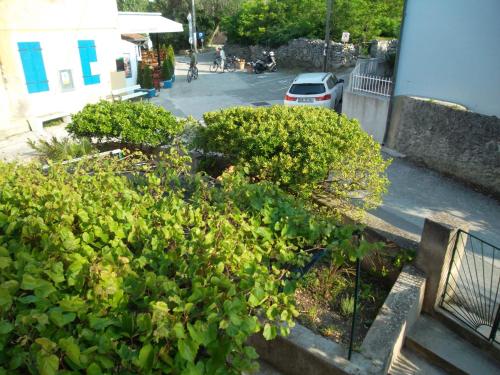an overhead view of a garden with bushes at Hodak Apartment in Nerezine
