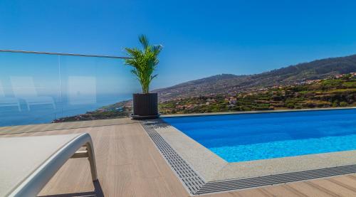 Una planta en maceta sentada en el borde de una piscina. en A&M House II Luxury Holidays Home, en Arco da Calheta
