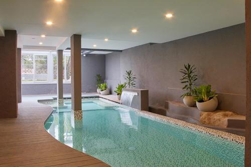 a large swimming pool in a room with plants at La Olivia Hotel Boutique & Spa in La Falda
