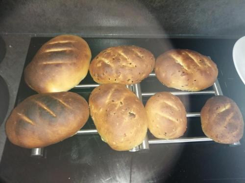 a group of buns cooking in an oven at Le Temps d'un Rêve in Eauze