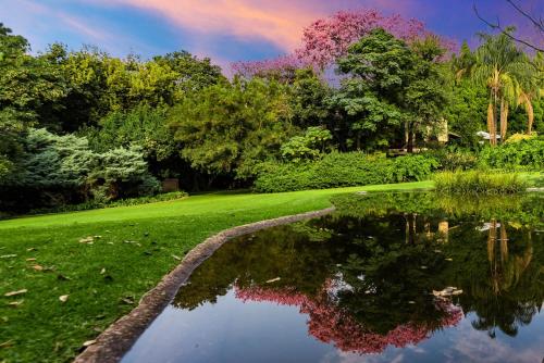 a pond in the middle of a lush green yard at Hagios House in Pretoria
