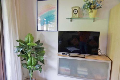 a flat screen tv sitting on top of a table at Der Sonnenhof - Ferienwohnungen in Obermaiselstein