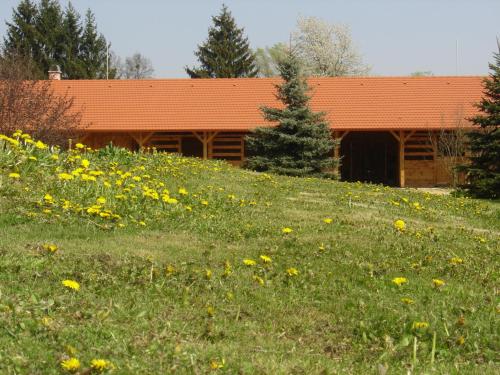 a field of flowers in front of a building at Kerca Bio Farm in Kercaszomor