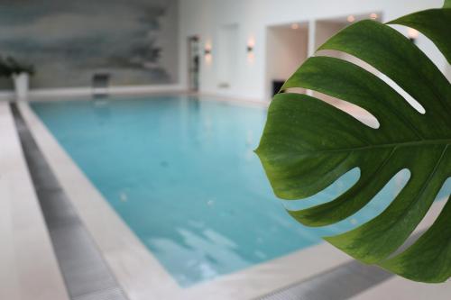 a pool with a large green leaf next to a swimming pool at Van der Valk Hotel Apeldoorn in Apeldoorn