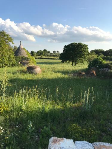 a field of grass with a building in the background at Borgo trulli 1789 in Ostuni