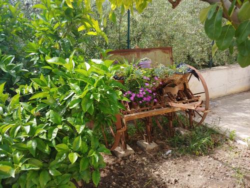 Κήπος έξω από το Villa Lucia B&B