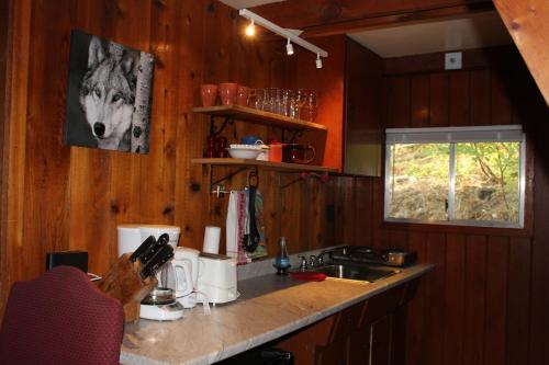 a kitchen with wooden walls and a counter with a sink at Sunny Bluffs Chalets in Kaslo