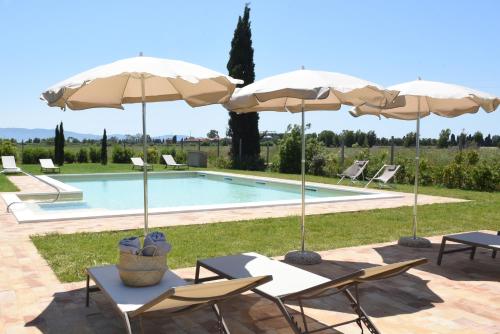 Agriturismo Poderedodici – Photos 4