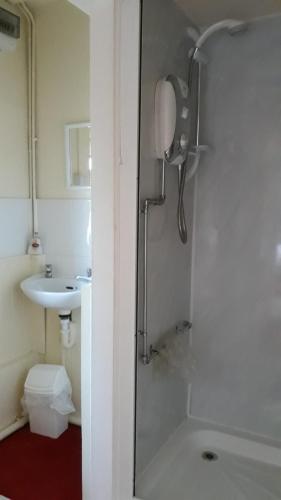 a bathroom with a shower and a sink at Plas Tirion in Llanddulas