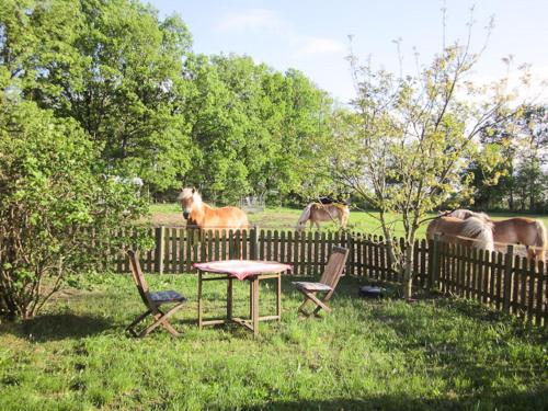 a table and two chairs and a fence with horses at Haflingerhof Heed in Kuhstorf
