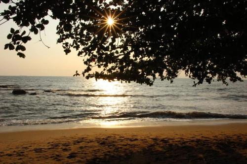 a view of the ocean from the beach with a tree at OCEAN-SI Mansion in Kribi
