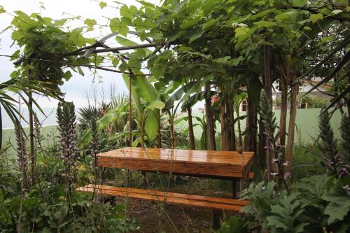 eine Holzbank mitten in einem Garten in der Unterkunft Hitas house in Chakvi