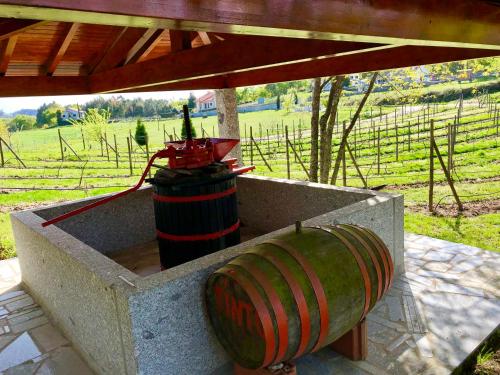 a barrel sitting in a concrete box next to a field at Chambre de la tour - Quinta da Prelada Simão in Celorico de Basto