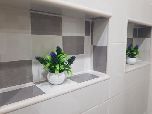 Dos plantas en macetas colocadas en un estante en un baño. en ŠEHER Kuća, en Sarajevo