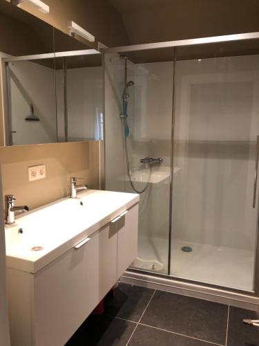 a bathroom with a white sink and a shower at De Oude Molen in As