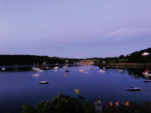 a group of boats sitting on a large body of water at Bay View B&B Glandore in Glandore